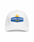 Dumb Dumb Juice Performance Hat